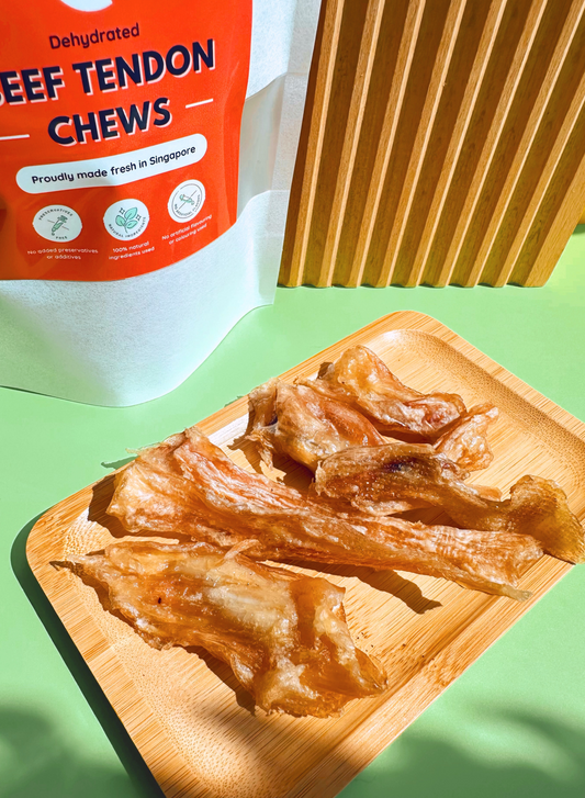 Beef Tendon Chews