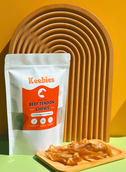 Beef Tendon Chews